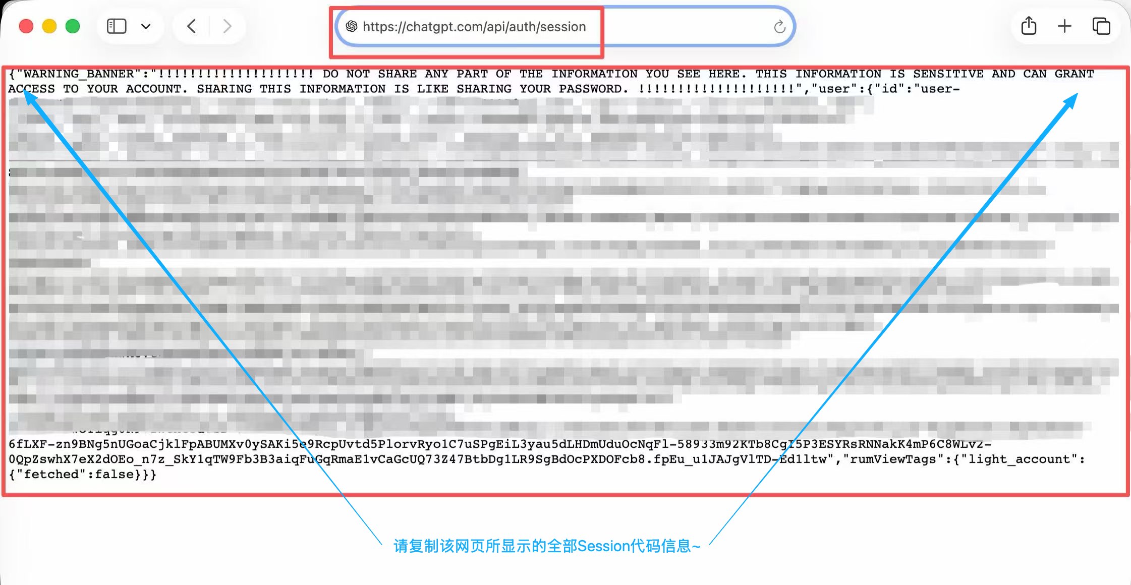 ChatGPT复制指引图